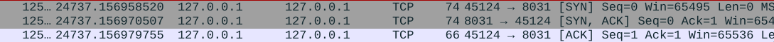Connection Phase: Wireshark