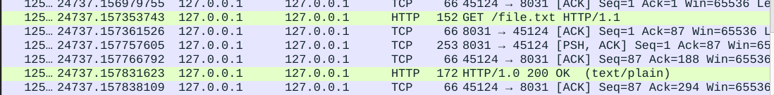Established phase: Wireshark